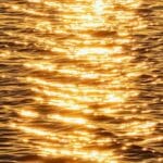 How does CS research work anyway? A.k.a. How to get into a CS research group?