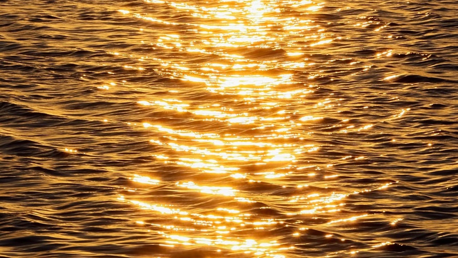 How does CS research work anyway? A.k.a. How to get into a CS research group?